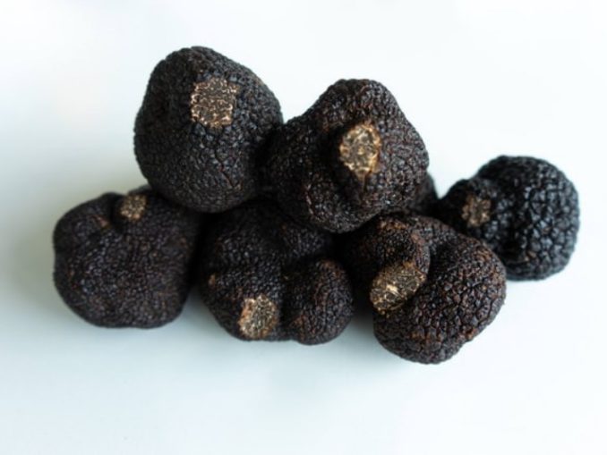 tartufo-nero_800x534-678x509.jpg